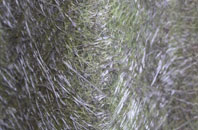 Llandanwg fibreglass roof work